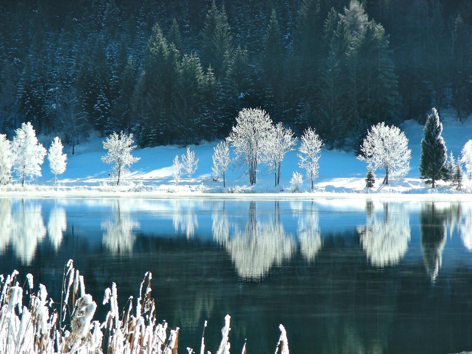 Appartamento Haus Heimat Weissensee Esterno foto